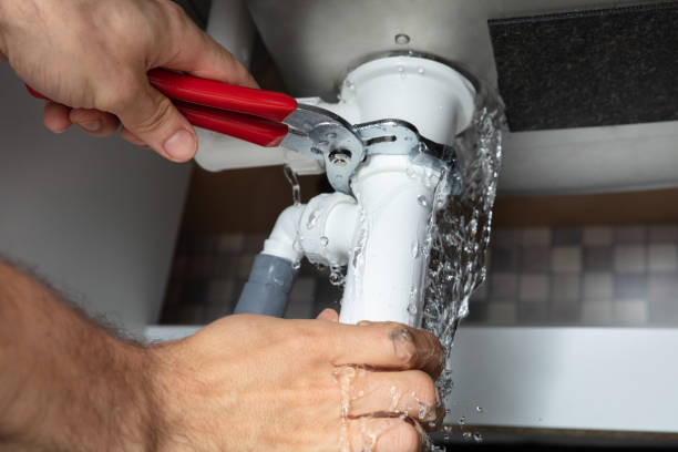 Best Professional water damage repair  in O, MI