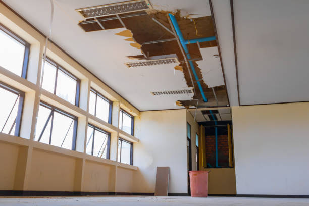 Best Flood restoration services  in O, MI