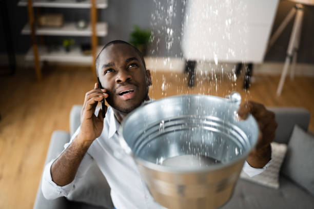 Best Sewage cleanup and water damage restoration  in O, MI