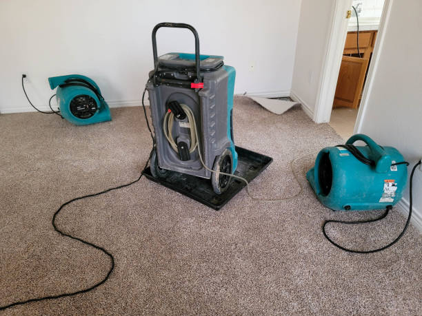 Best Water damage restoration near me  in O, MI