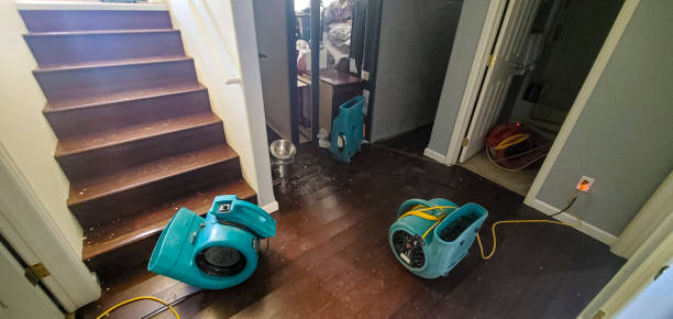 Professional Water damage restoration in Mio, MI