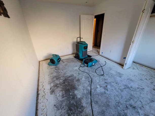 Best 24-hour water damage restoration  in O, MI