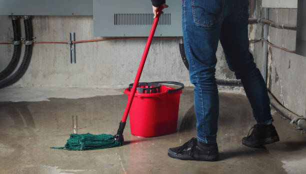 Best Flood damage cleanup  in O, MI