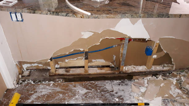 Best Water damage restoration near me  in O, MI
