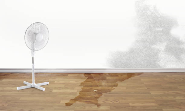 Best 24-hour water damage restoration  in O, MI