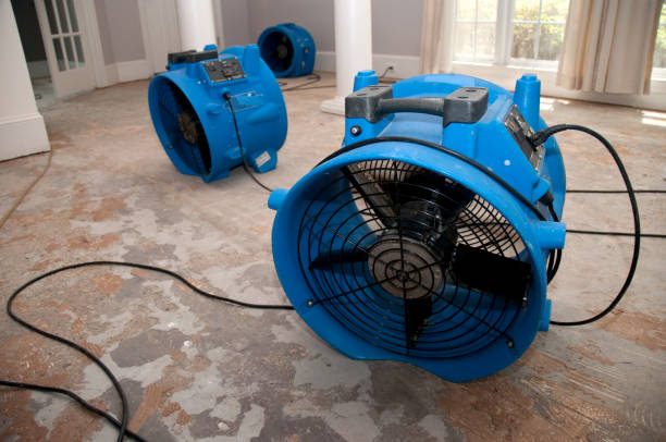 Best Mold removal after water damage  in O, MI