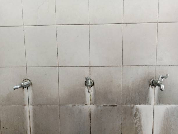 Best Water damage restoration near me  in O, MI