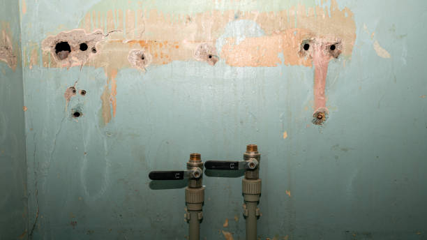Fire Damage Restoration in Mio, MI