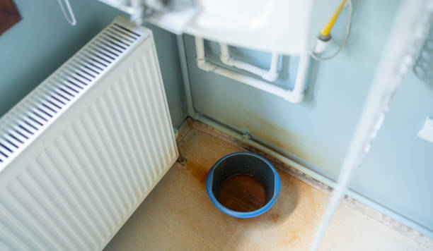 Best 24/7 water damage repair  in O, MI