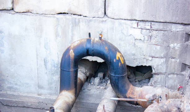 Best Water damage cleanup near me  in O, MI