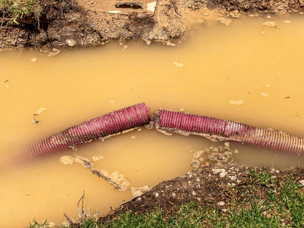 Best Carpet water damage restoration  in O, MI
