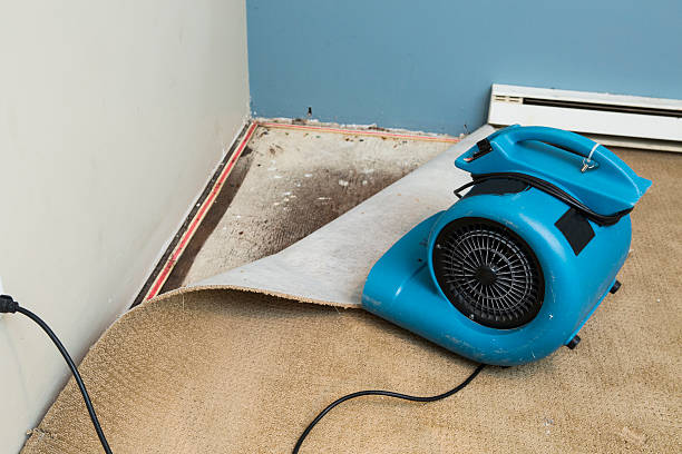 Best Basement water damage restoration  in O, MI